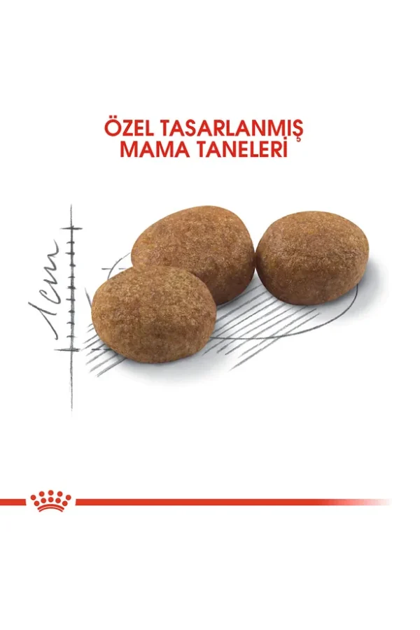 Royal Canin Sterilised37 Kısırlaştırılmış Kediler Için Kuru Kedi Maması 4kg - Görsel 5