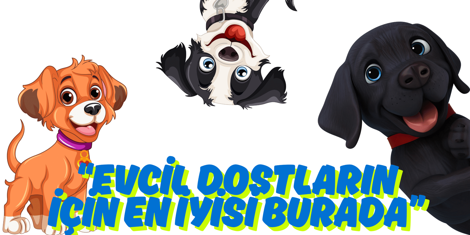 “Evcil Dostların İçin En İyisi Burada”