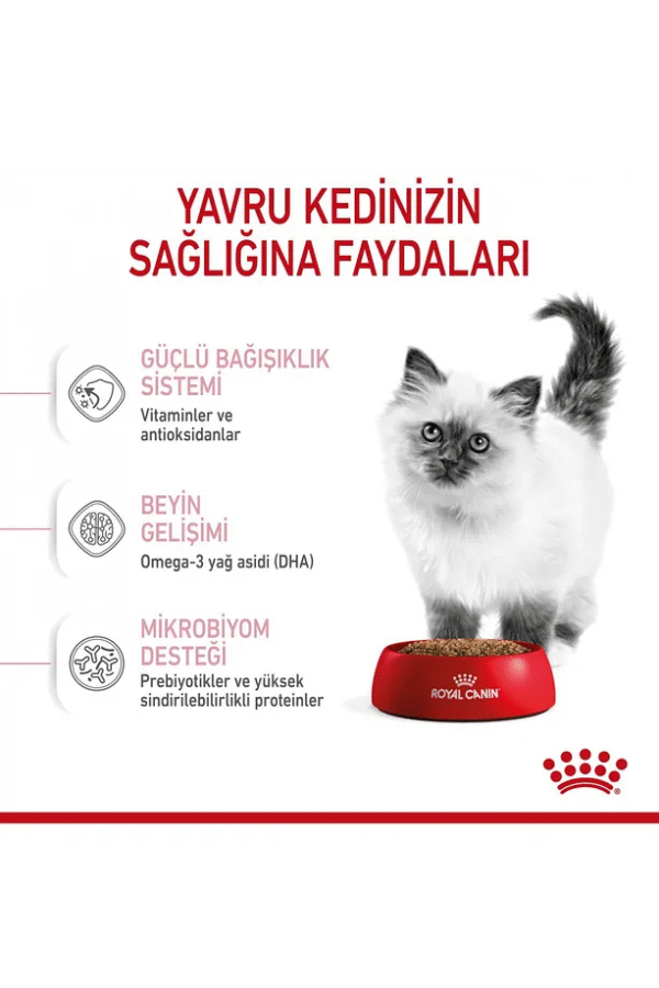 Royal Canin Kıttenyavru Kediler Için Kuru Kedi Maması 4kg - Görsel 6