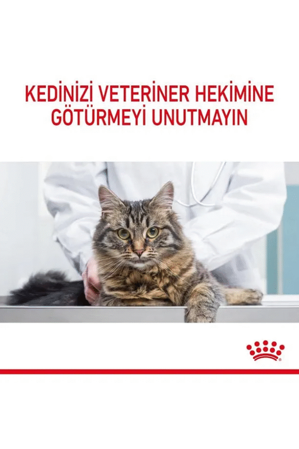 Royal Canin Hair&skin Tüy Ve Deri Sağlığı Için Kuru Kedi Maması 2kg - Görsel 3