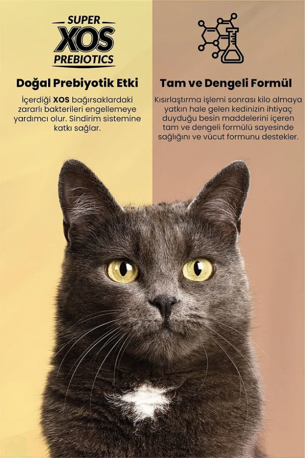 Reflex Plus Sterilised Somonlu Kısırlaştırılmış Yetişkin Kedi Maması 1.5 Kg - Görsel 2